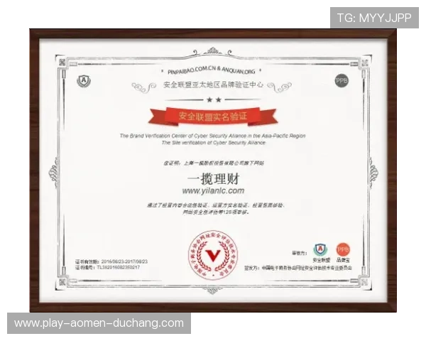 od真人会员登录入口为用户提供多重安全保障建议